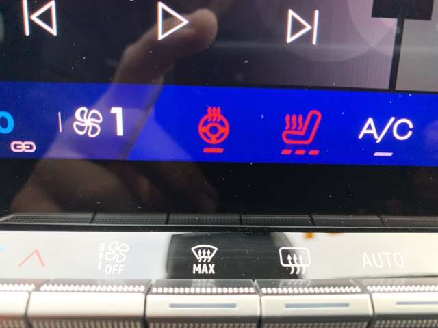 Fahrzeugbild eines Renault Rafale
