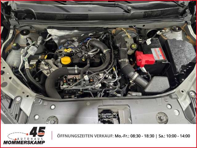 Fahrzeugbild eines Dacia Sandero