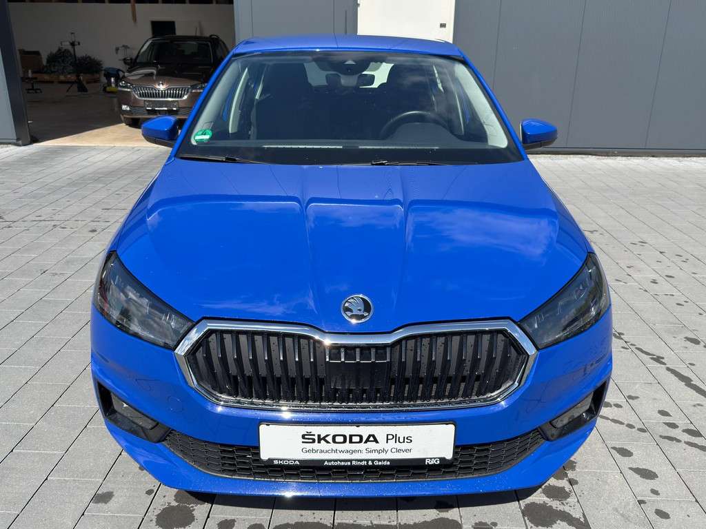 Fahrzeugbild eines Skoda Fabia