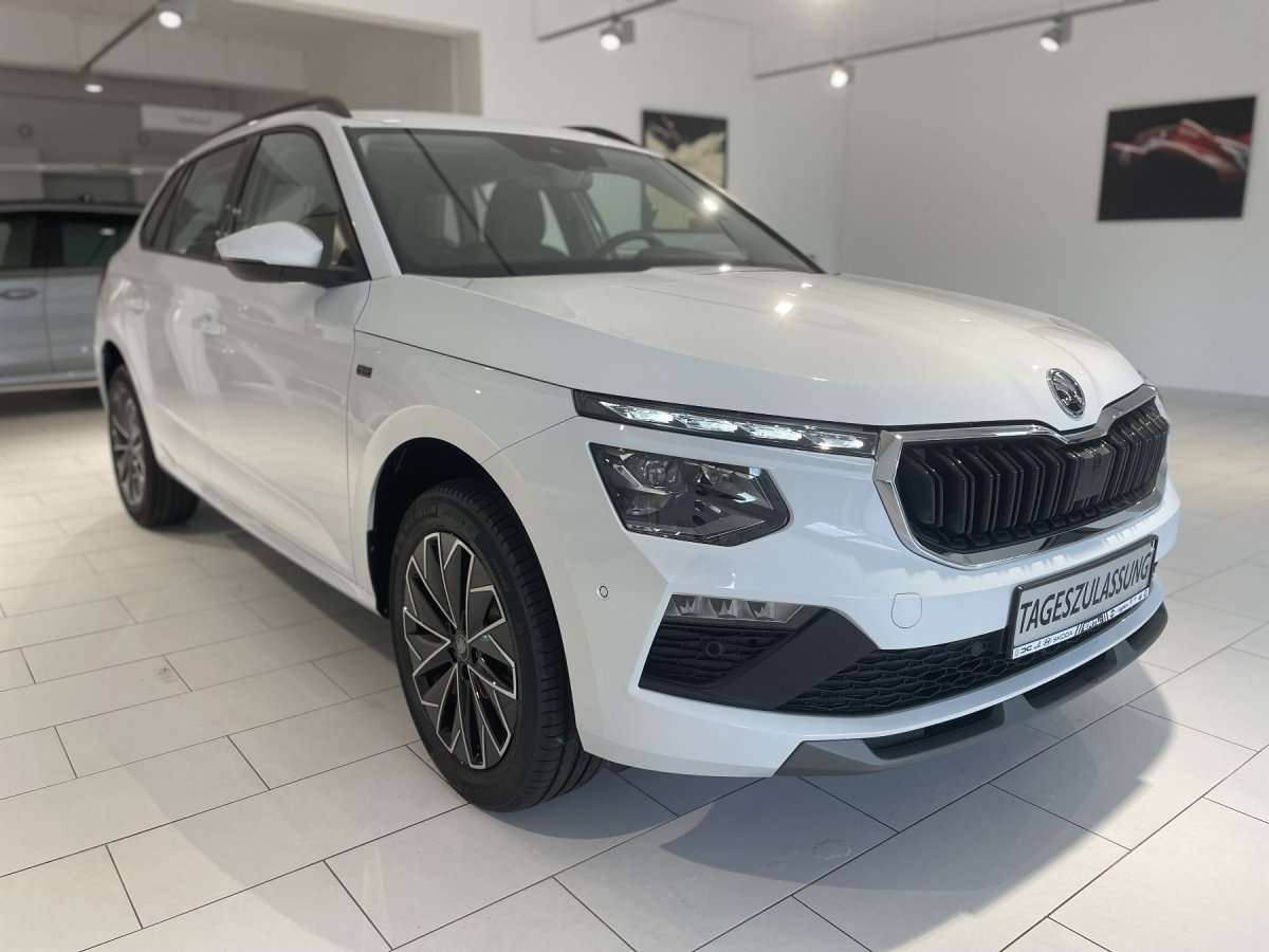 Fahrzeugbild eines Skoda Kamiq