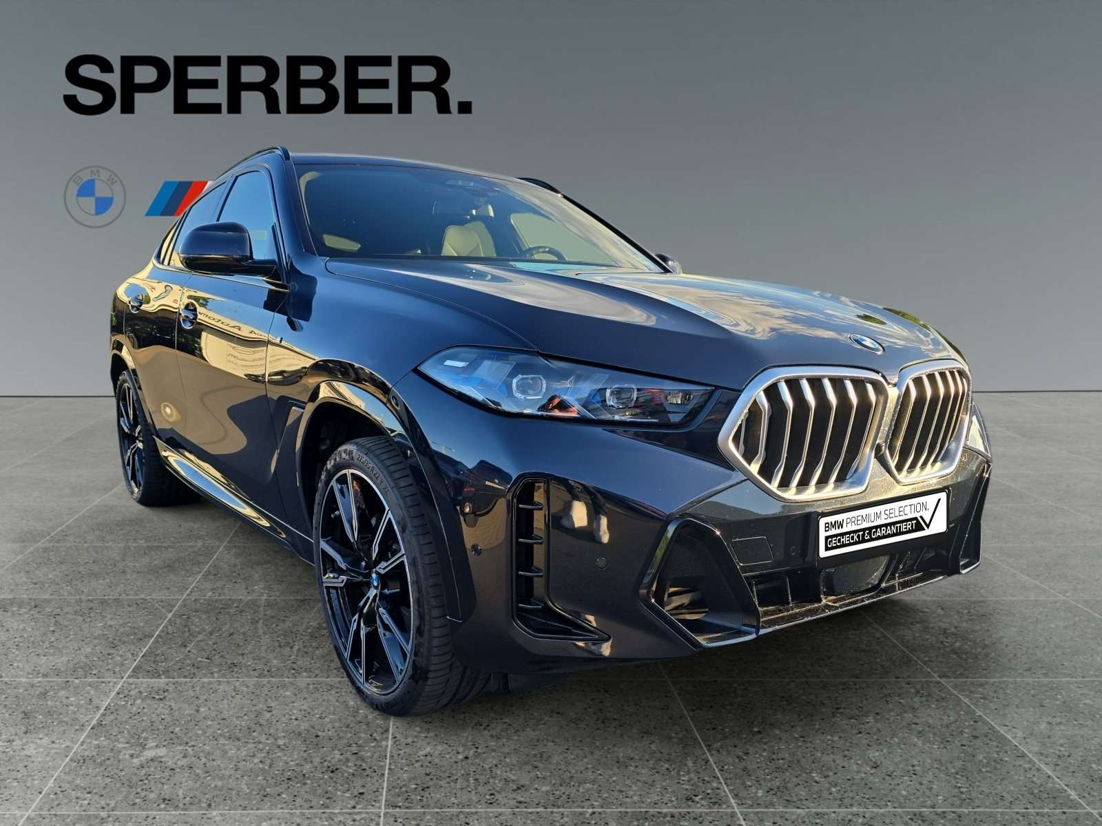Fahrzeugbild eines BMW X6