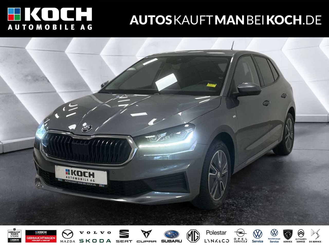 Fahrzeugbild eines Skoda Fabia