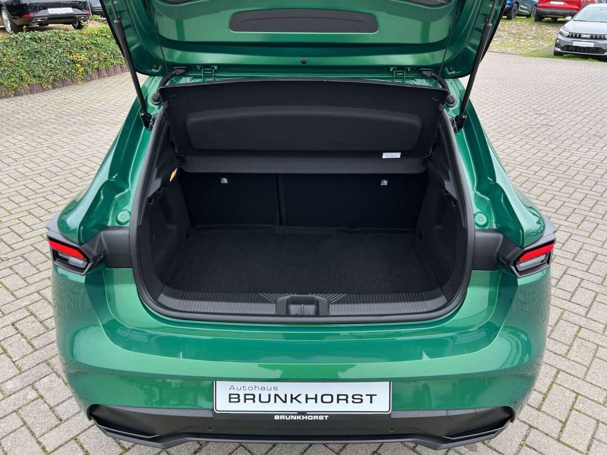 Fahrzeugbild eines Renault Clio
