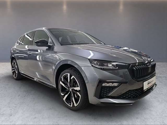 Fahrzeugbild eines Skoda Scala