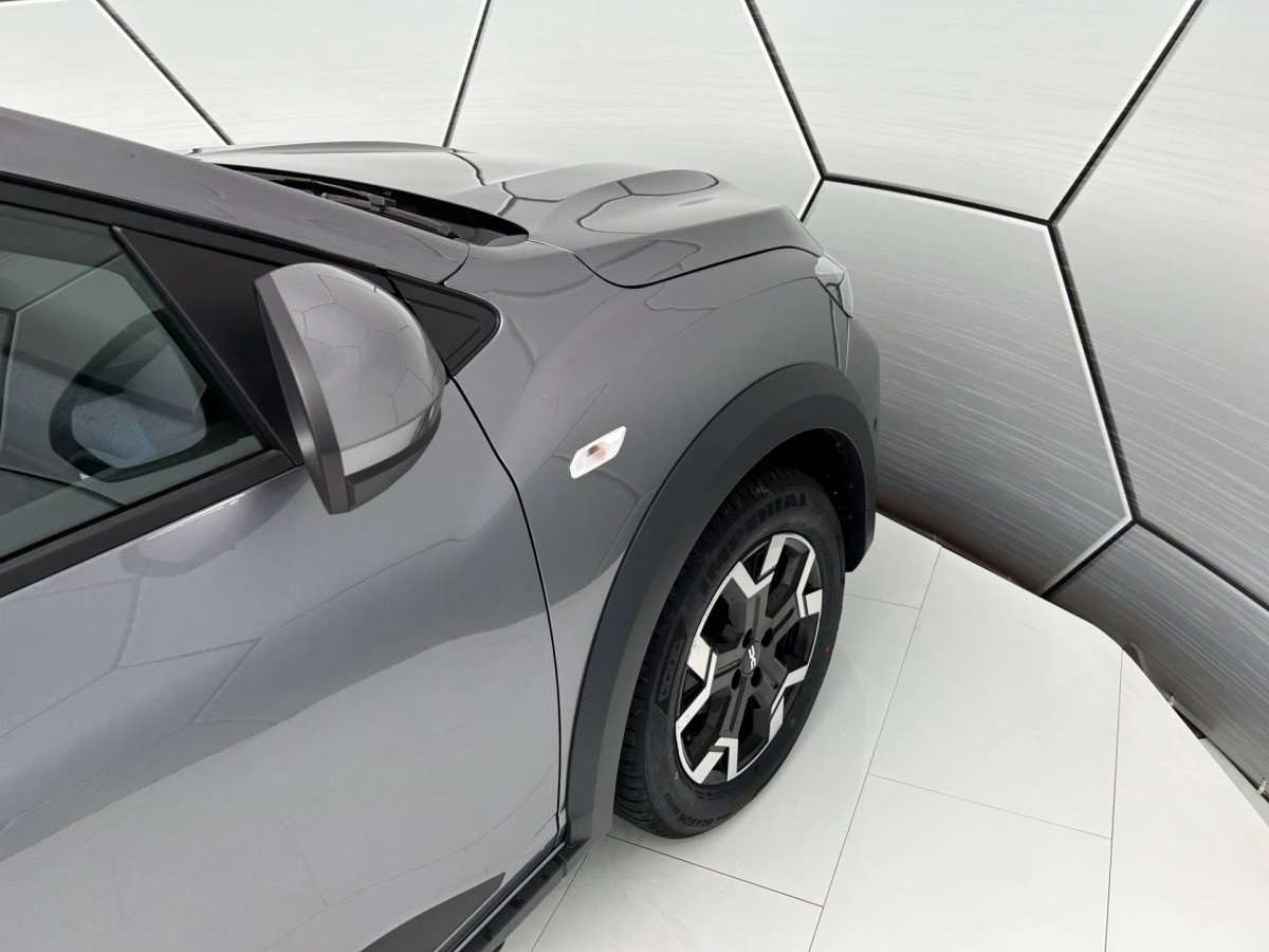 Fahrzeugbild eines Dacia Sandero