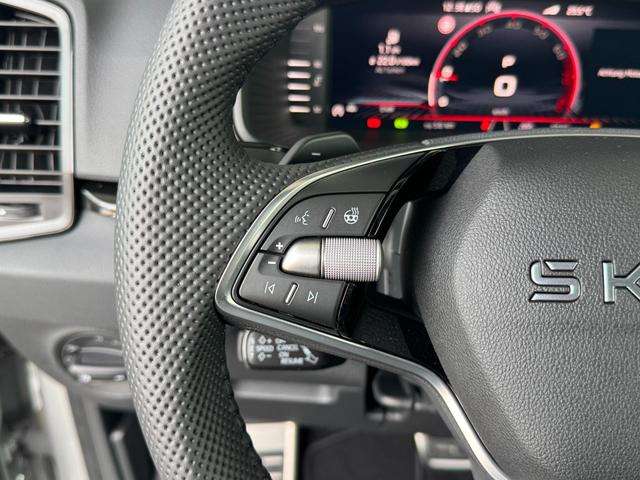 Fahrzeugbild eines Skoda Karoq