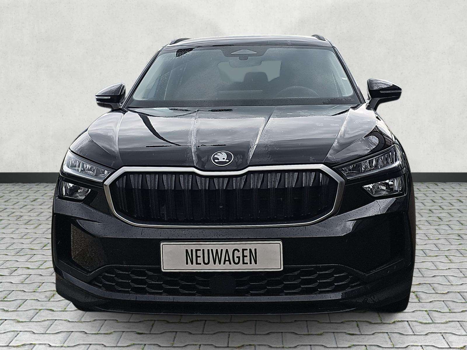 Fahrzeugbild eines Skoda Kodiaq