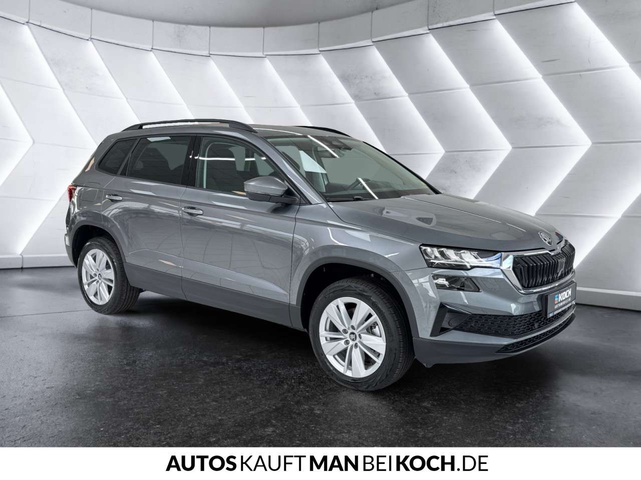 Fahrzeugbild eines Skoda Karoq