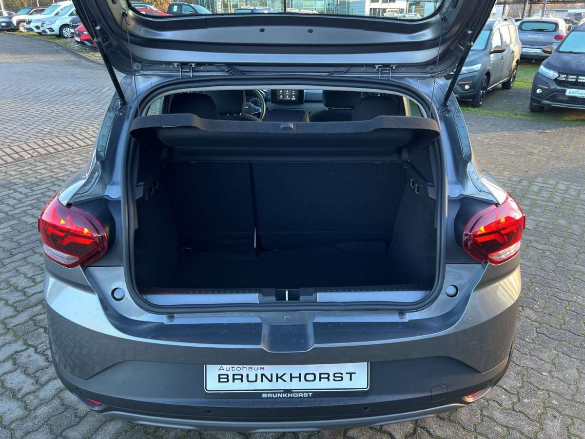 Fahrzeugbild eines Dacia Sandero