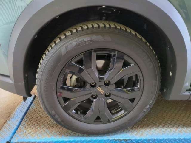 Fahrzeugbild eines Dacia Jogger