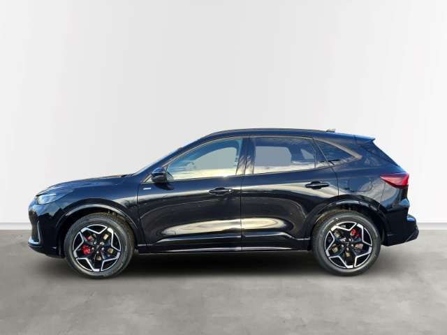 Fahrzeugbild eines Ford Kuga