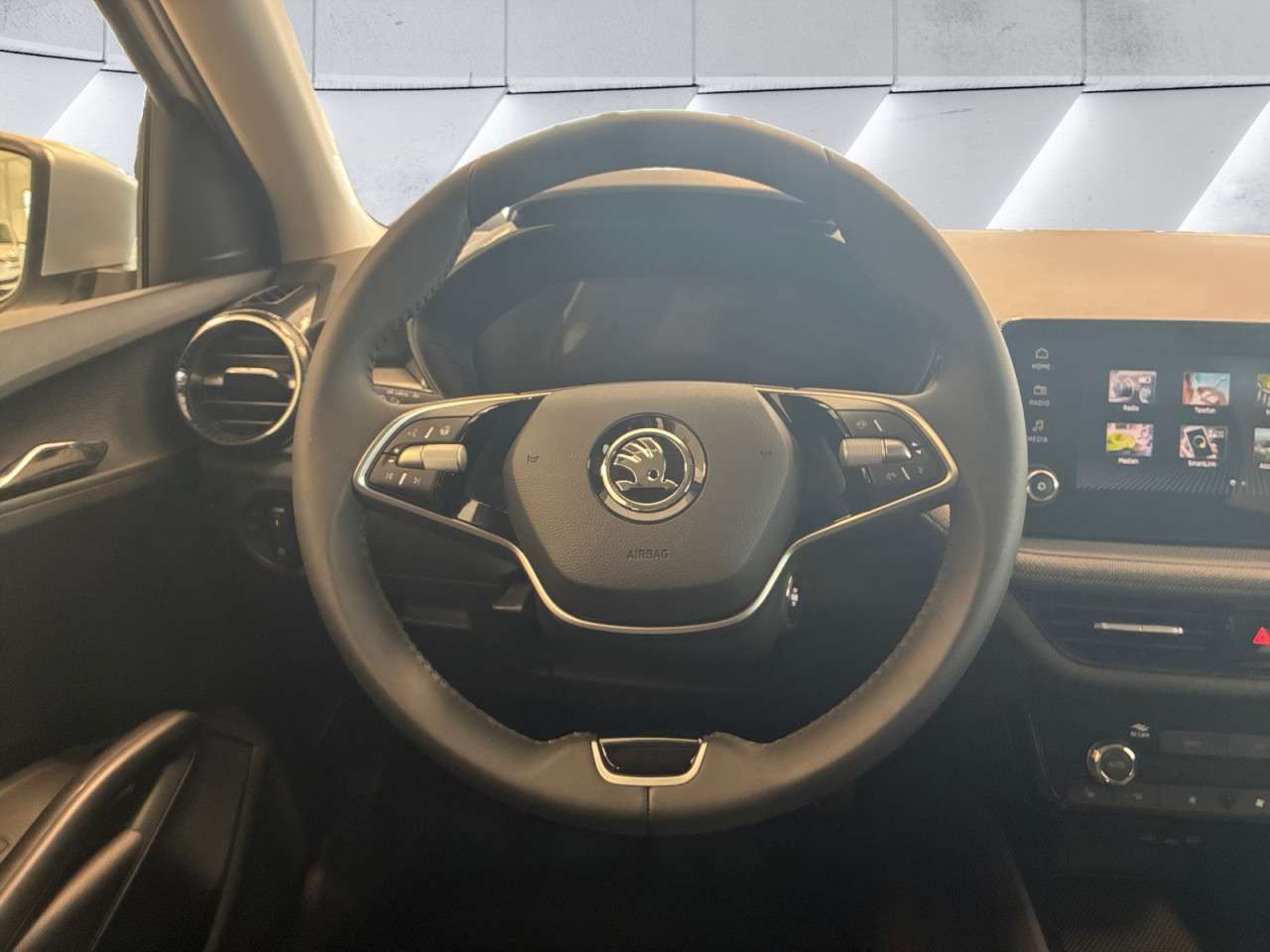 Fahrzeugbild eines Skoda Fabia