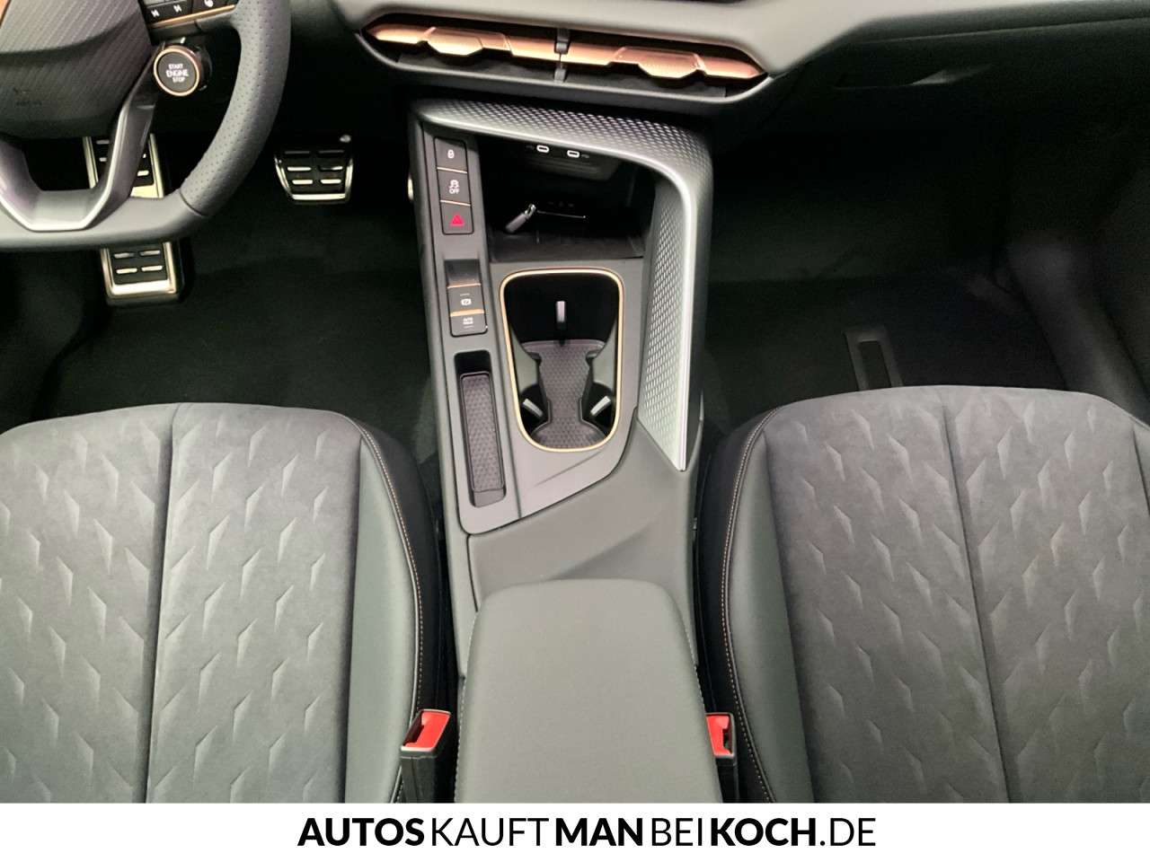 Fahrzeugbild eines CUPRA Terramar