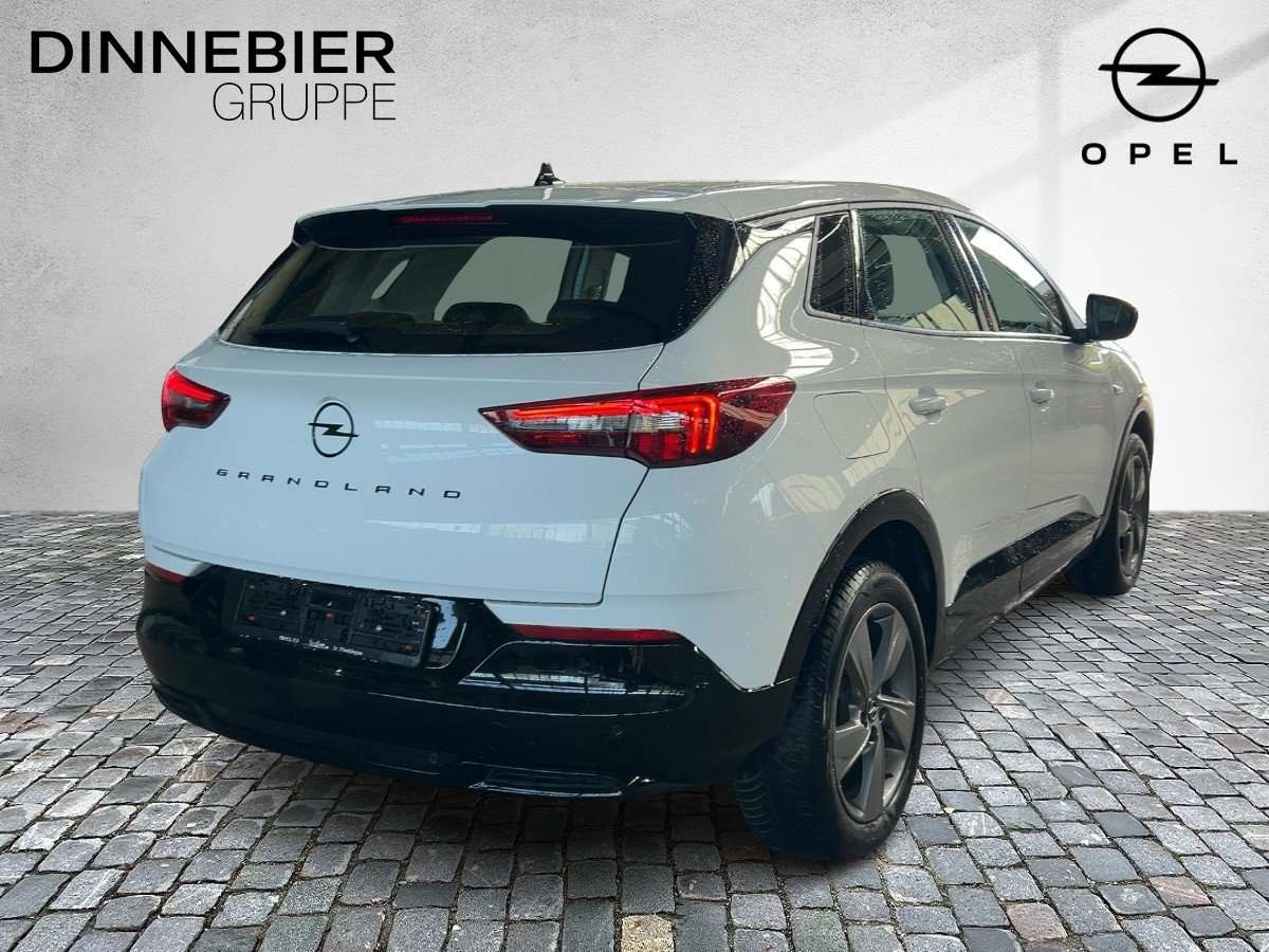 Fahrzeugbild eines Opel Grandland X