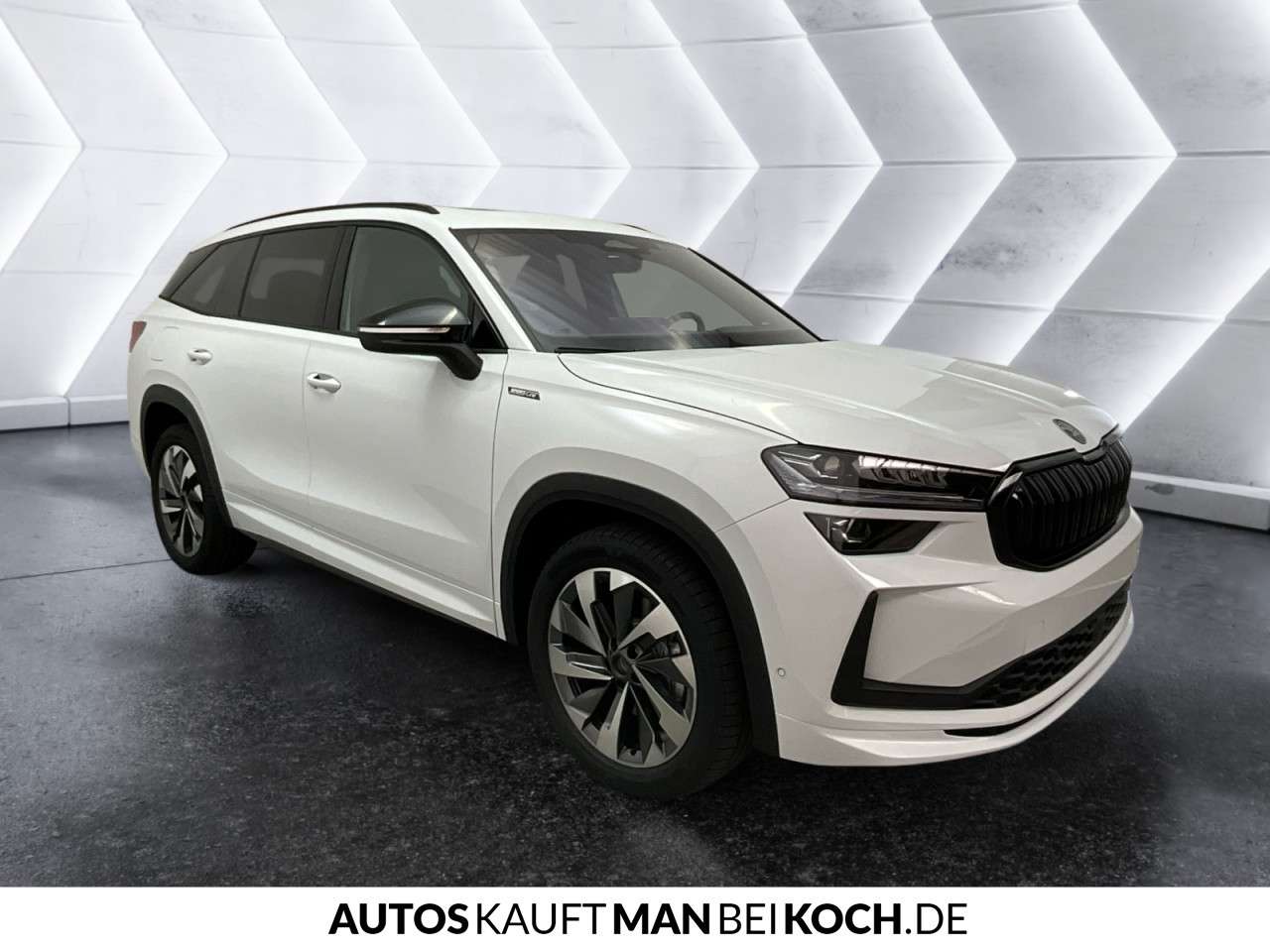 Fahrzeugbild eines Skoda Kodiaq