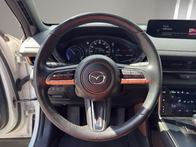 Fahrzeugbild eines Mazda MX-30