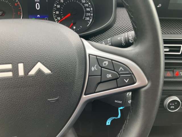 Fahrzeugbild eines Dacia Jogger