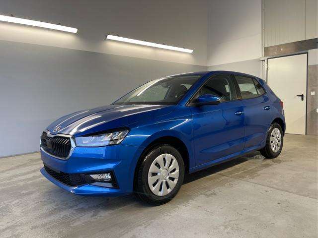 Fahrzeugbild eines Skoda Fabia