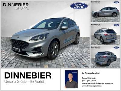 Bild Ford Kuga