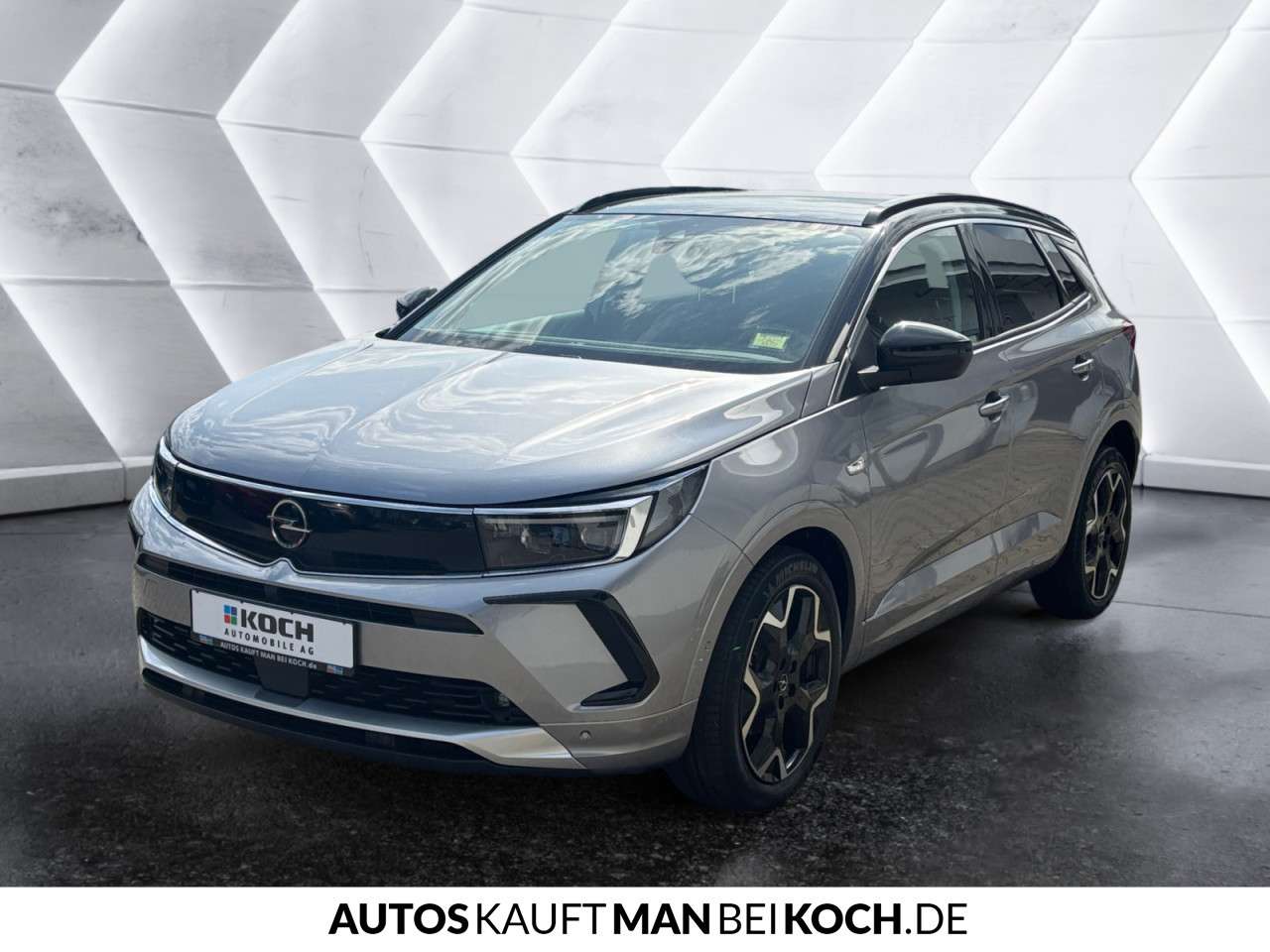 Fahrzeugbild eines Opel Grandland X
