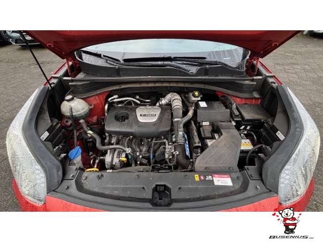 Fahrzeugbild eines Kia Sportage