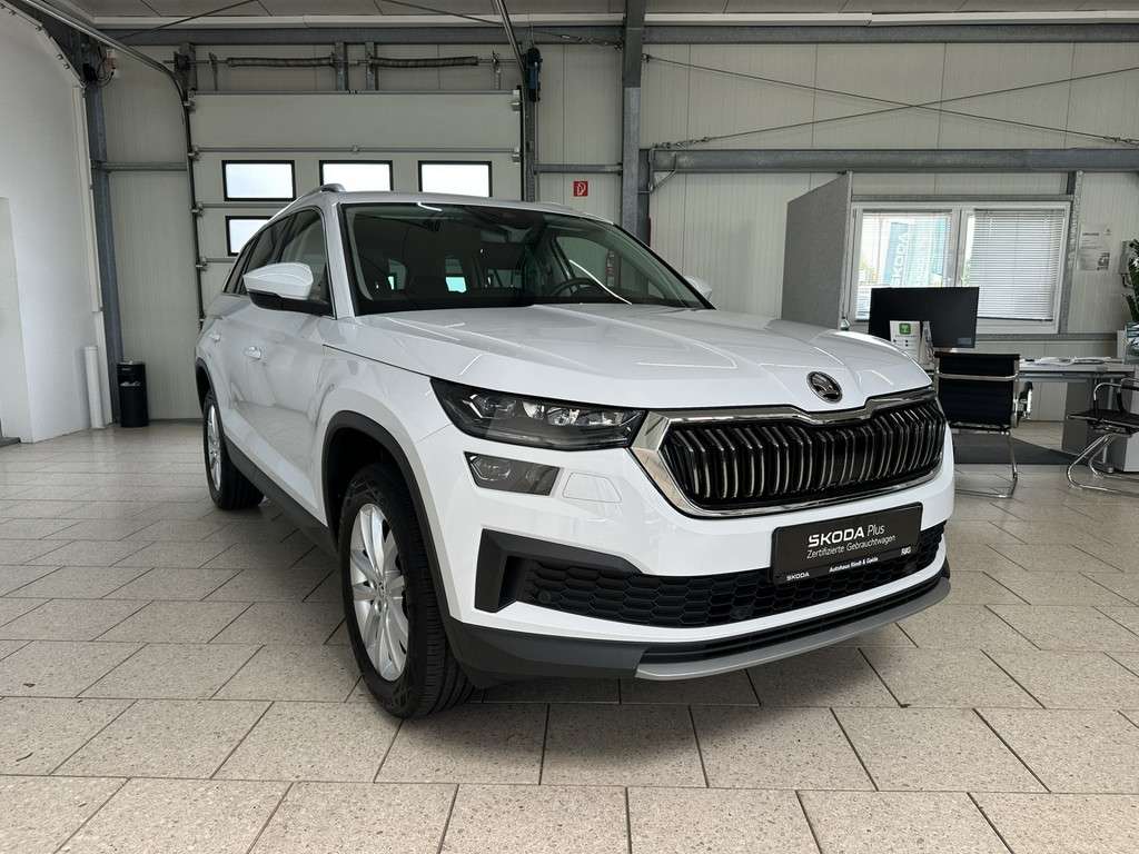 Fahrzeugbild eines Skoda Kodiaq