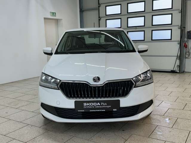 Fahrzeugbild eines Skoda Fabia