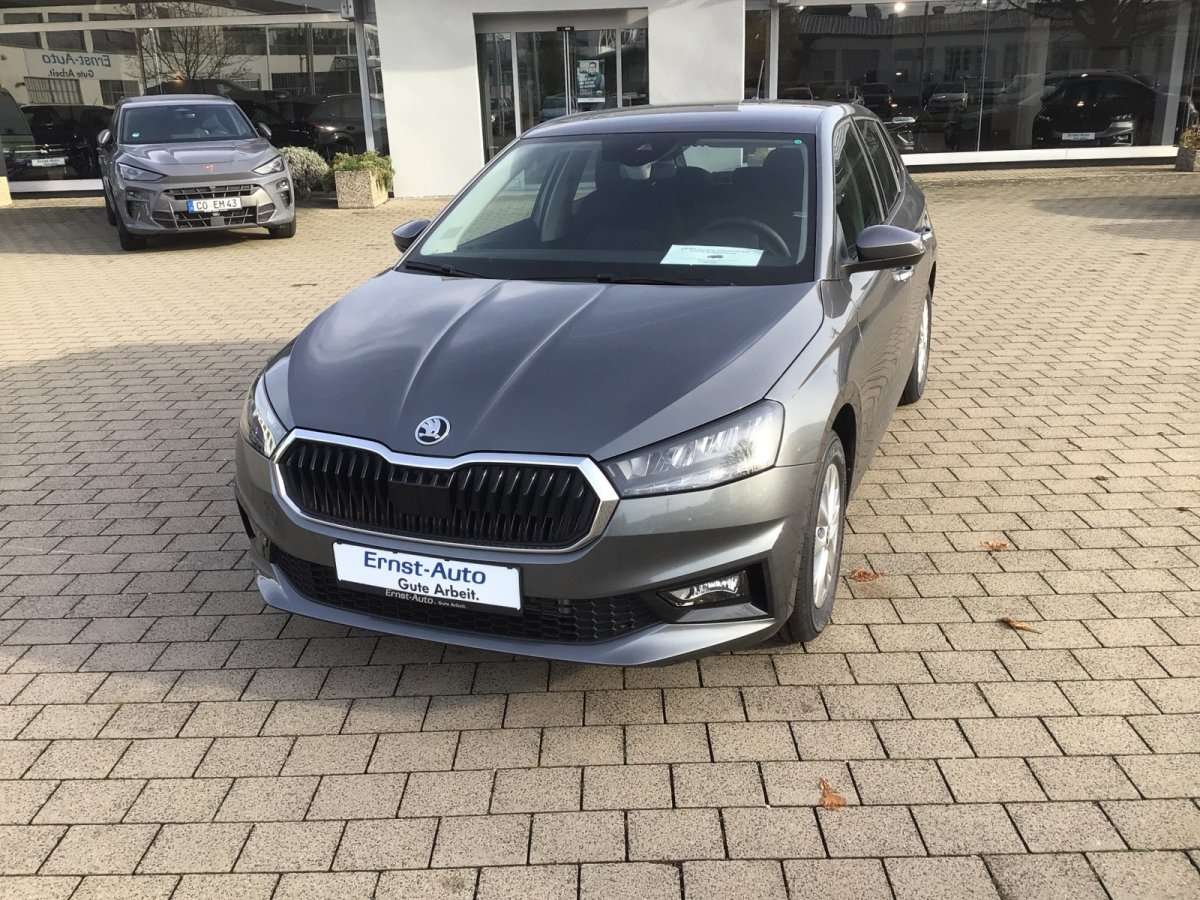 Fahrzeugbild eines Skoda Fabia