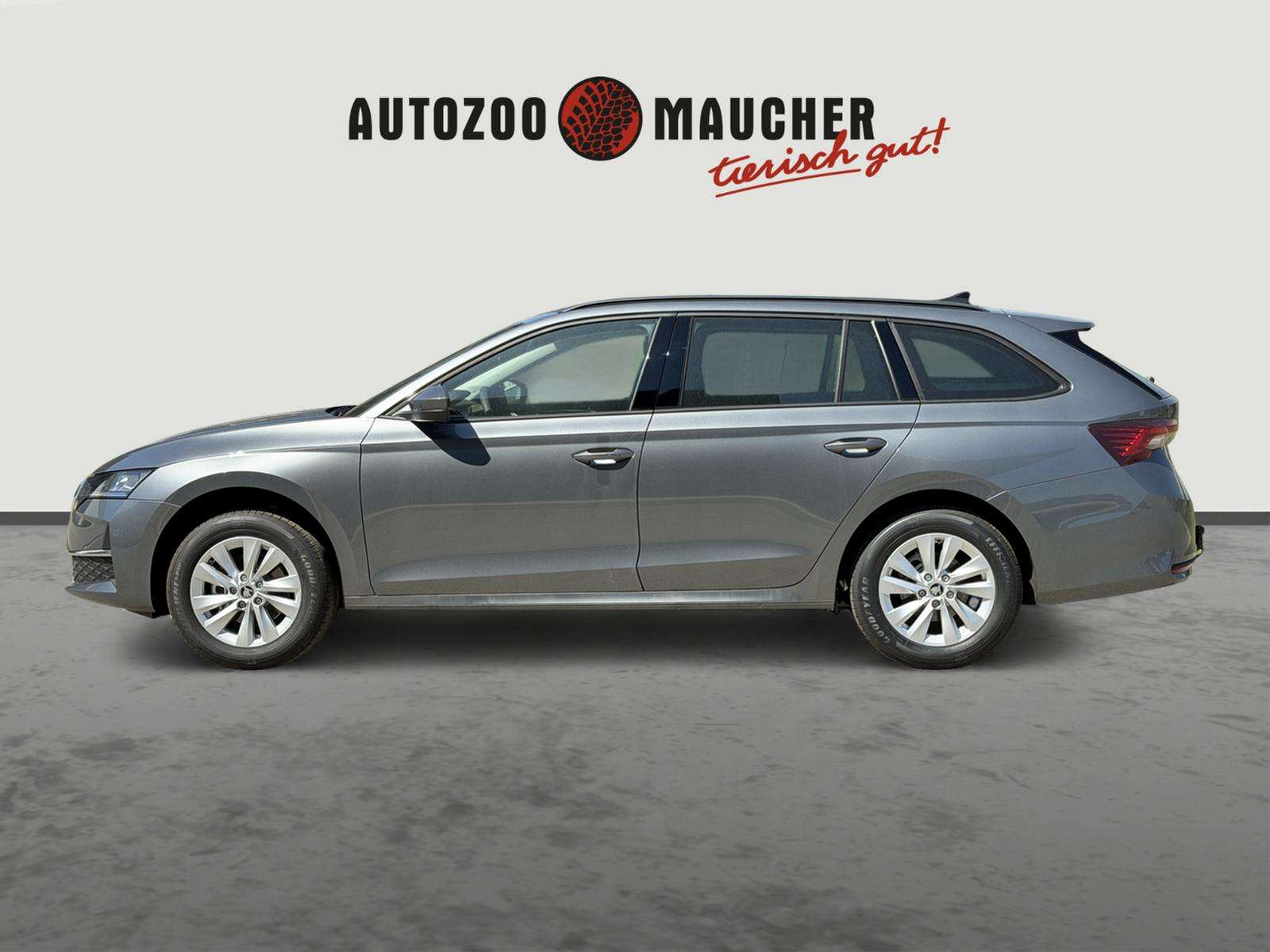 Fahrzeugbild eines Skoda Octavia
