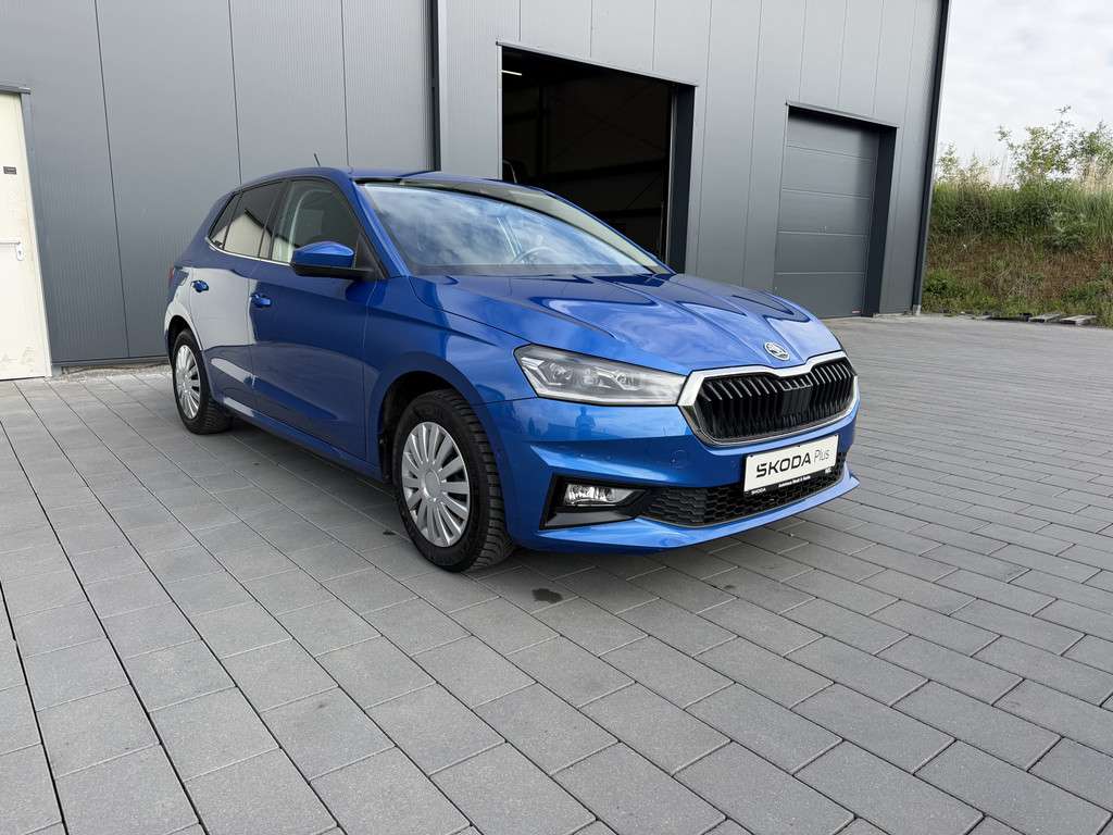 Fahrzeugbild eines Skoda Fabia