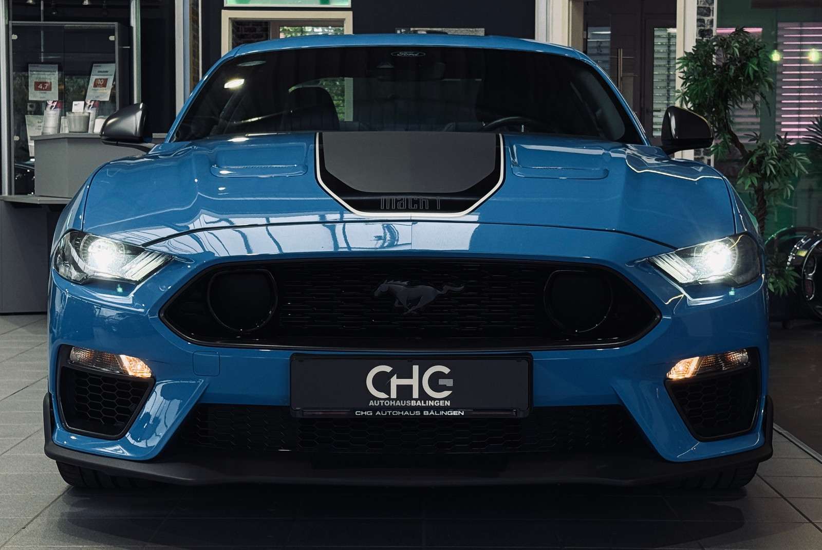 Fahrzeugbild eines Ford Mustang