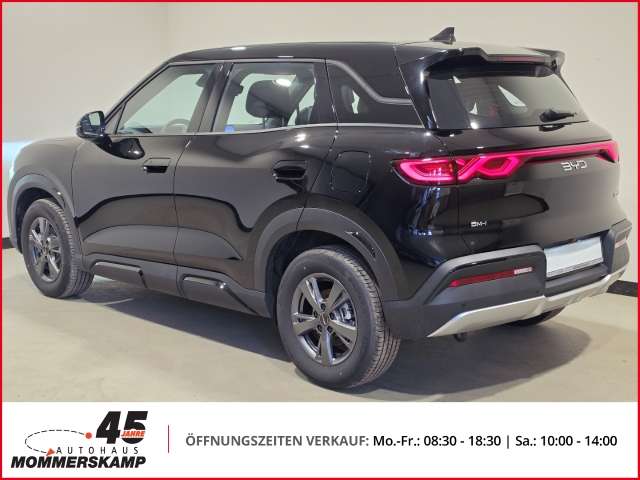 Fahrzeugbild eines BYD Atto 2