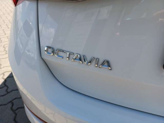 Fahrzeugbild eines Skoda Octavia