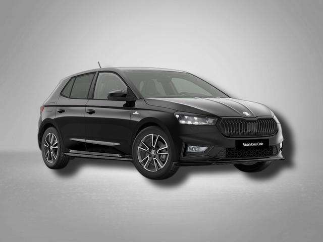 Fahrzeugbild eines Skoda Fabia