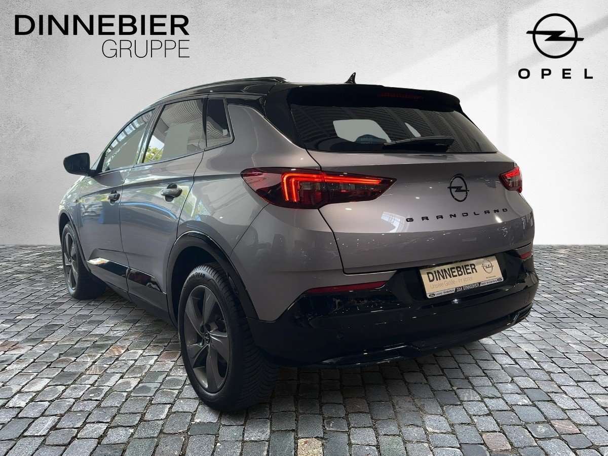 Fahrzeugbild eines Opel Grandland X