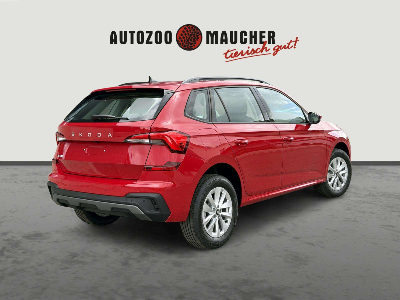 Fahrzeugbild eines Skoda Kamiq