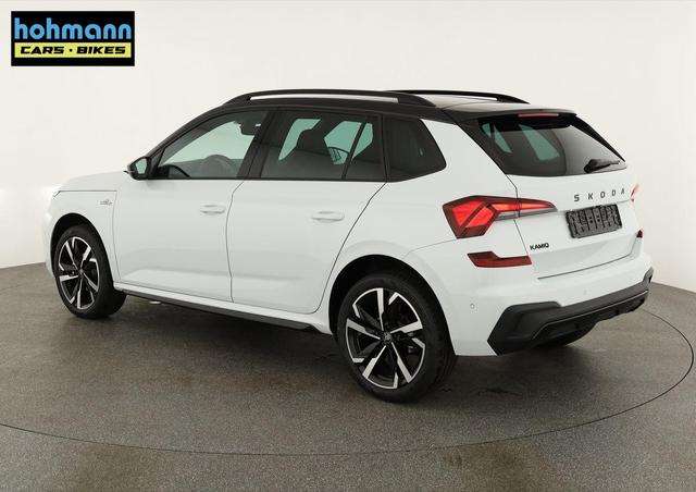 Fahrzeugbild eines Skoda Kamiq
