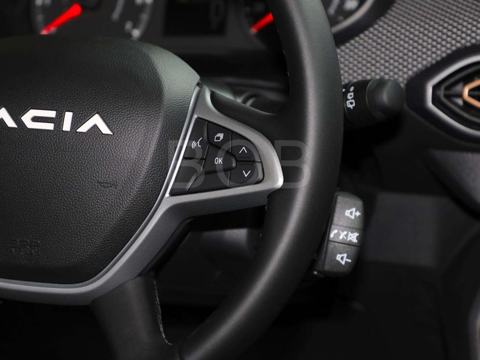 Fahrzeugbild eines Dacia Sandero