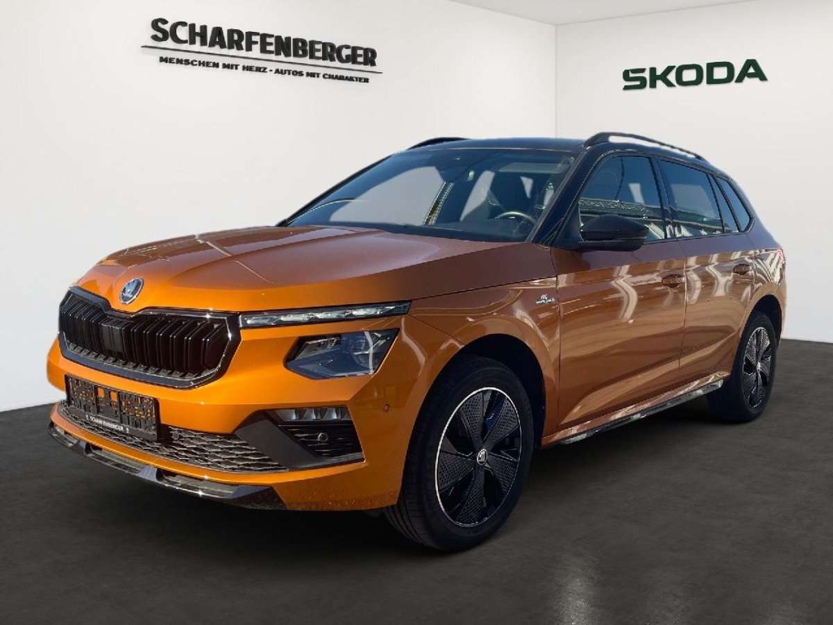 Fahrzeugbild eines Skoda Kamiq