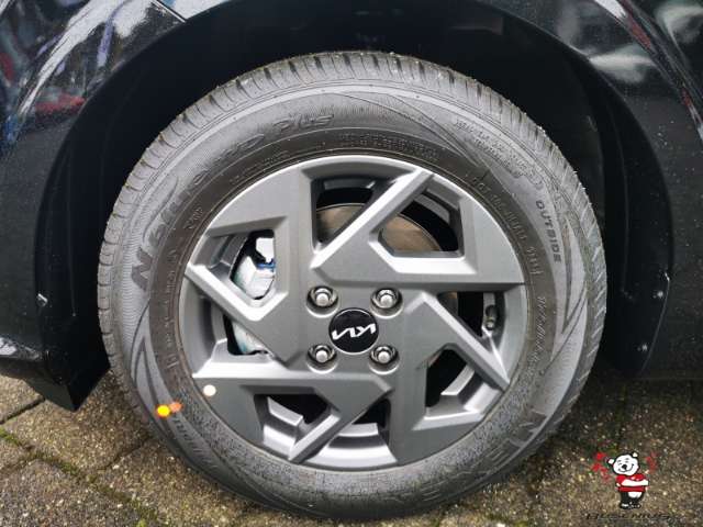 Fahrzeugbild eines Kia Picanto