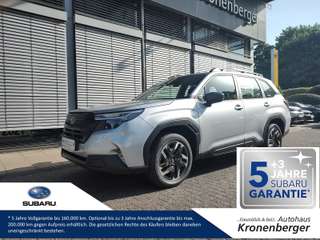 Schräge Frontansicht auf einen Subaru Forester , freigestellt