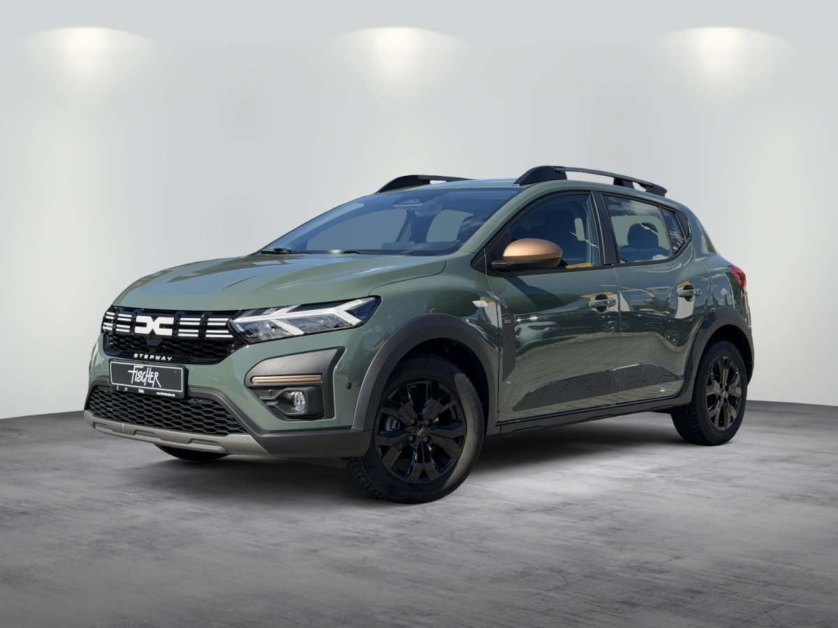 Fahrzeugbild eines Dacia Sandero