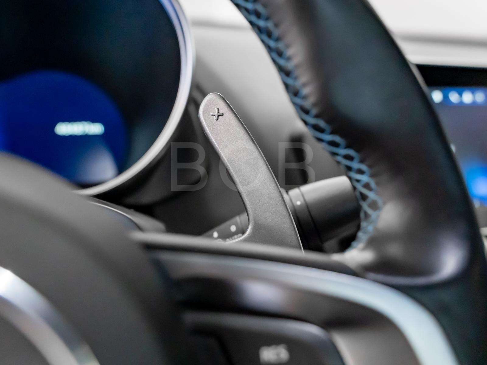 Fahrzeugbild eines Alpine A110