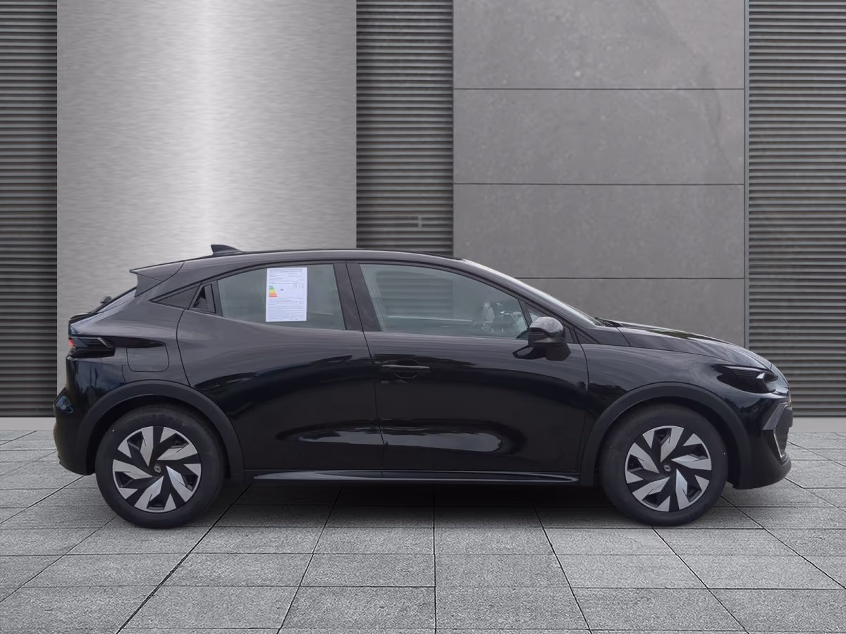 Fahrzeugbild eines Renault Clio