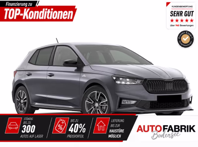 Bild Skoda Fabia