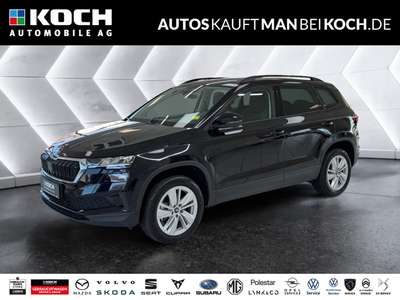 Bild Skoda Karoq