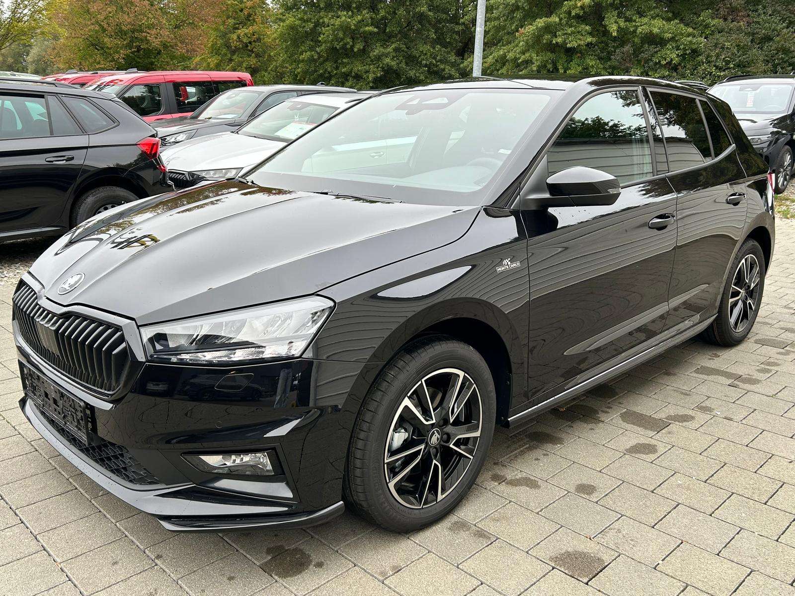 Fahrzeugbild eines Skoda Fabia