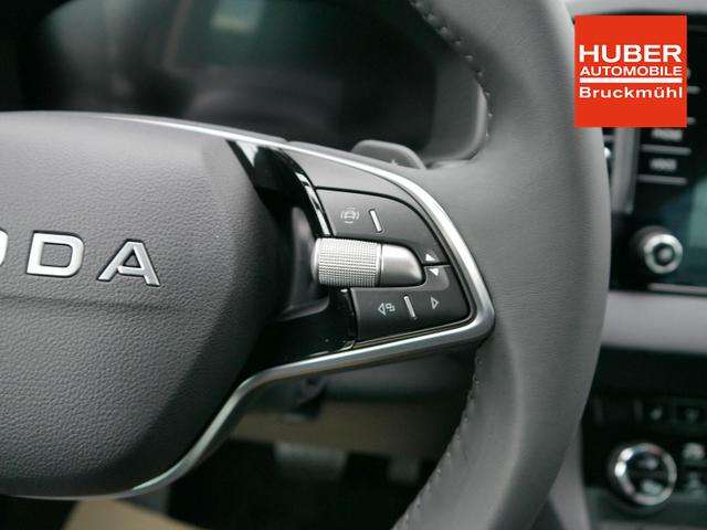 Fahrzeugbild eines Skoda Karoq