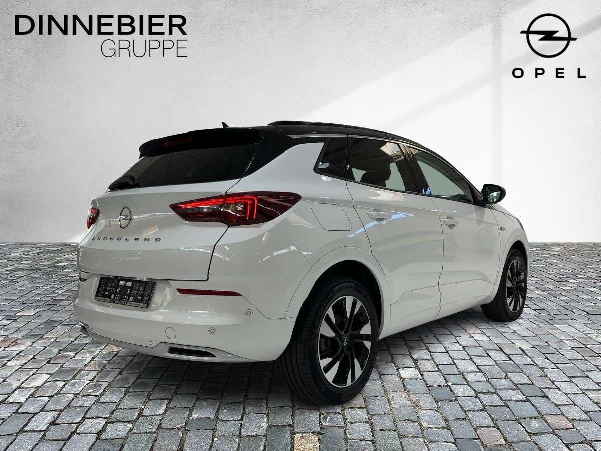 Fahrzeugbild eines Opel Grandland X