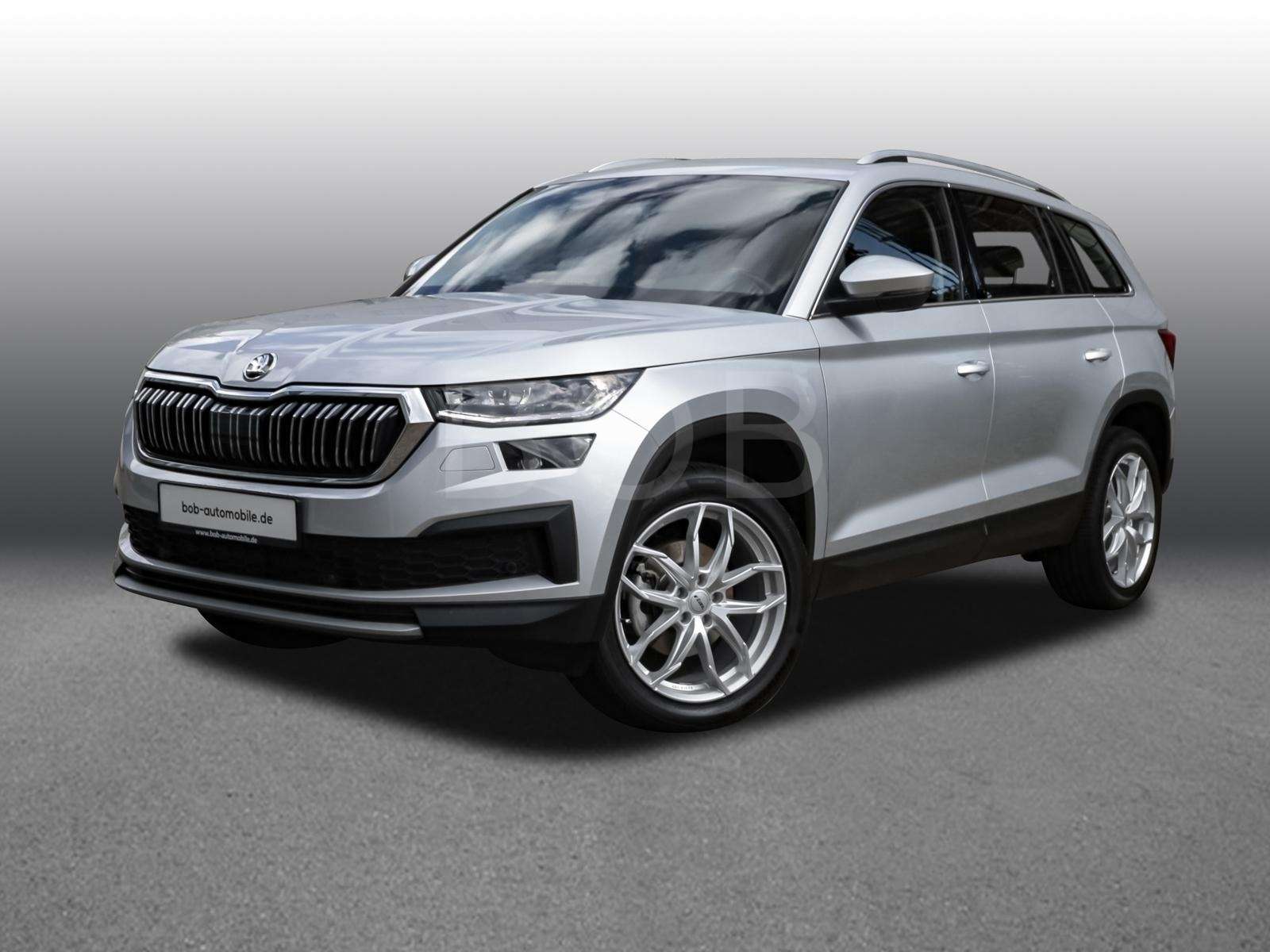 Fahrzeugbild eines Skoda Kodiaq